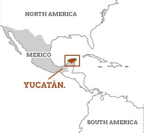 Guide To UCATSEN .